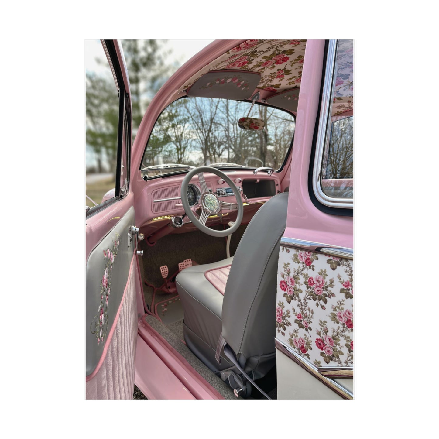 Rose Custom Interior Poster – Available in Two Sizes