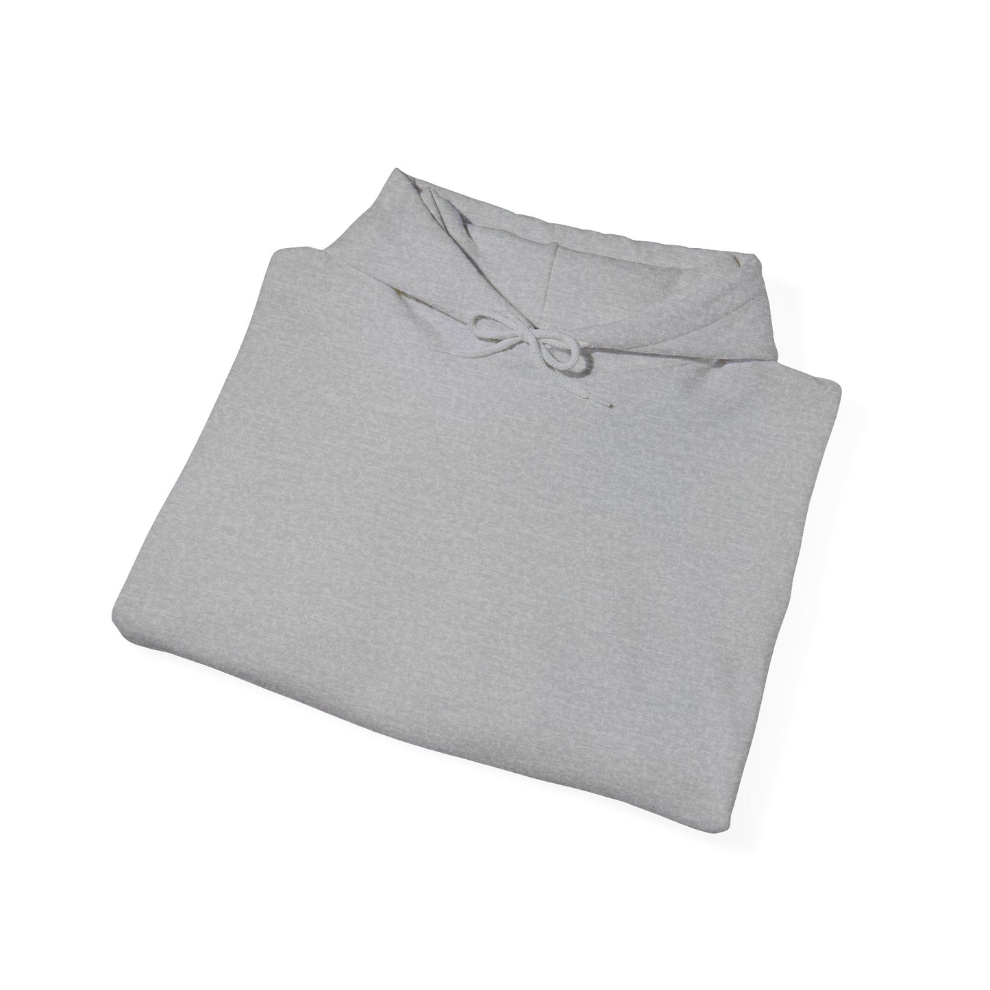 Rose 1967 VW Beetle Hoodie